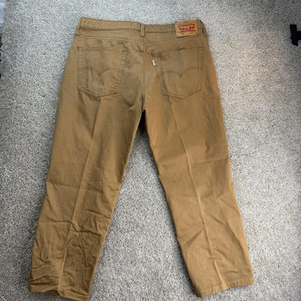 Levis levis 541